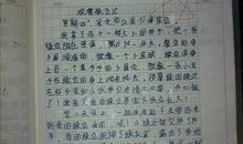 四年级观察日记三则