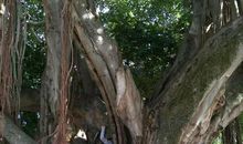 我们班的淘气鬼