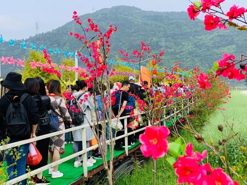 记得春游