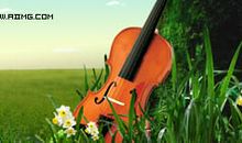 我爱滨江的大草地