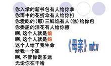 《慈母情深》读书笔记_2000字