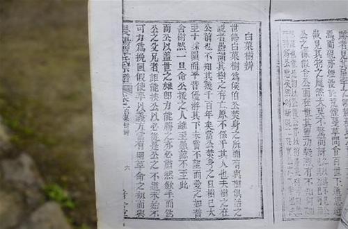 书中的千年