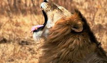 这样的人让我愤懑