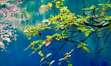 欣赏自然让生活更美好