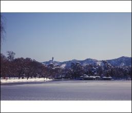 我不能忘记的雪