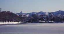 忘不了的那场雪