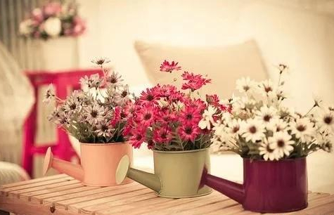四个季节吹来一阵风