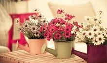 一缕风吹过四季