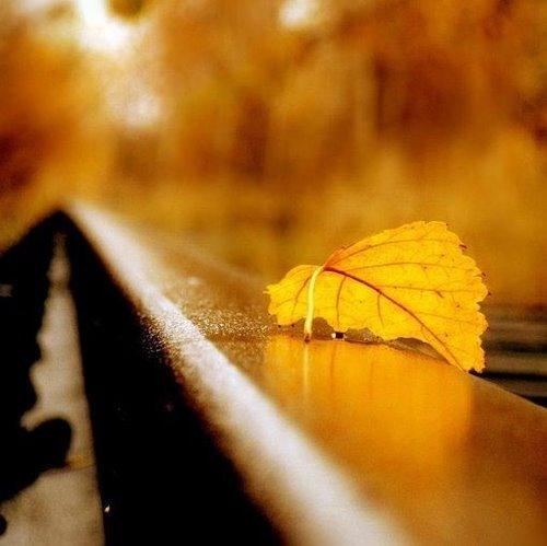 生活力量
