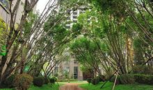 后院里的“不速之客”