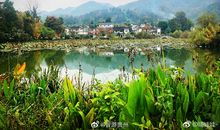 田园风光和乡村生活