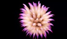 放一束名叫准则的烟火