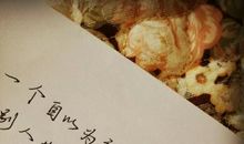 那一次我选择了原谅