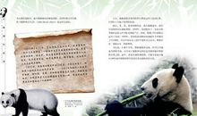 国宝大熊猫三年级作文