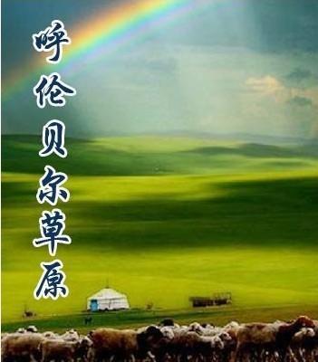 微笑的脸无奈
