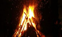 冬日里的一把“火”