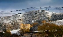 秋天的第一场雪