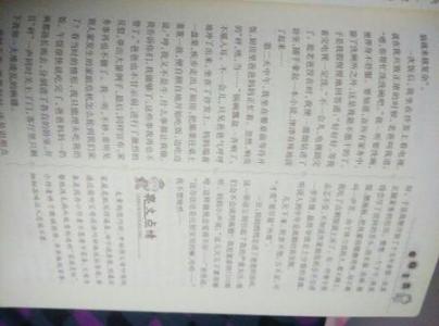 美丽的夏夜作文300字
