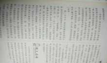 美丽的夏夜作文300字