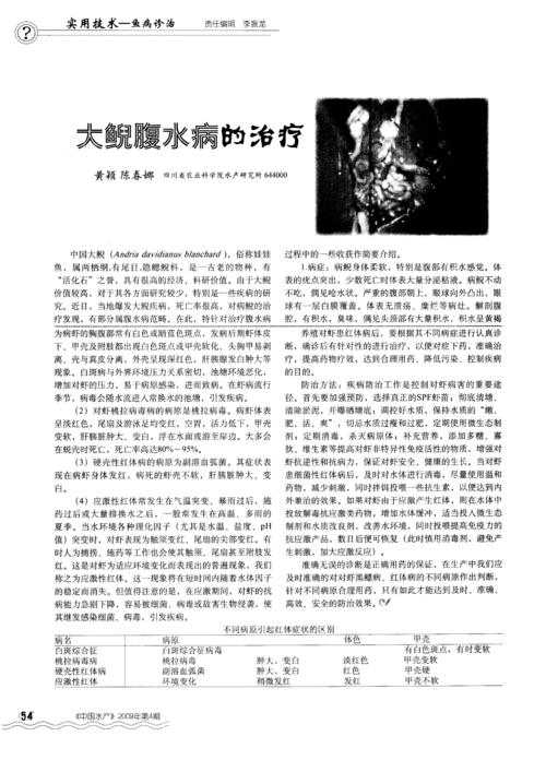 巨型sal的叙述