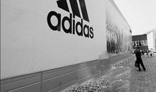 家门前的三叶草