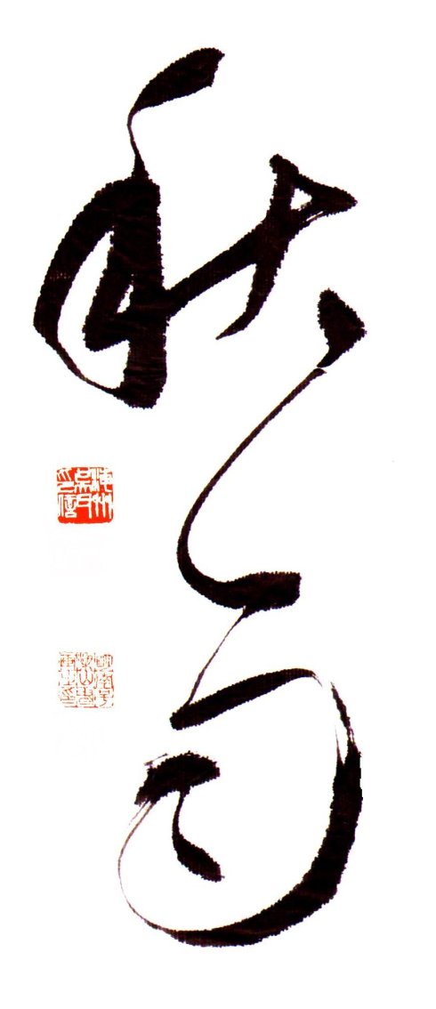 诗有双周到的翅膀