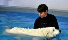 第一次下海游泳