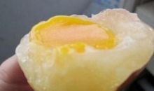 鸡蛋为什么捏不碎