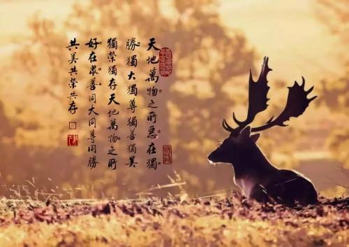 友谊需要宽容