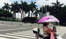 像什么一样活着