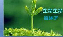 读《生命生命》有感