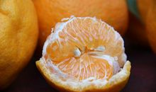 描写丑橘的作文