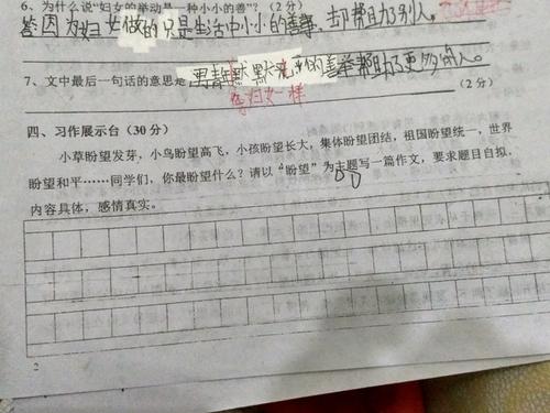 希望专题800字组成