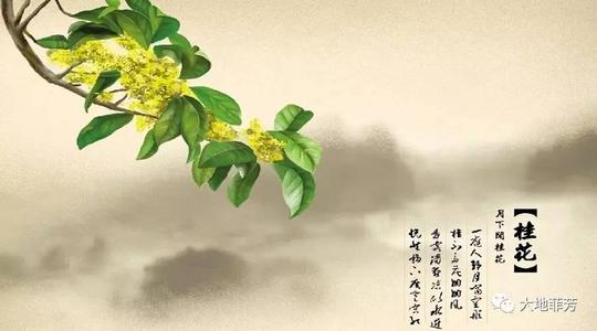 过去就像一朵花