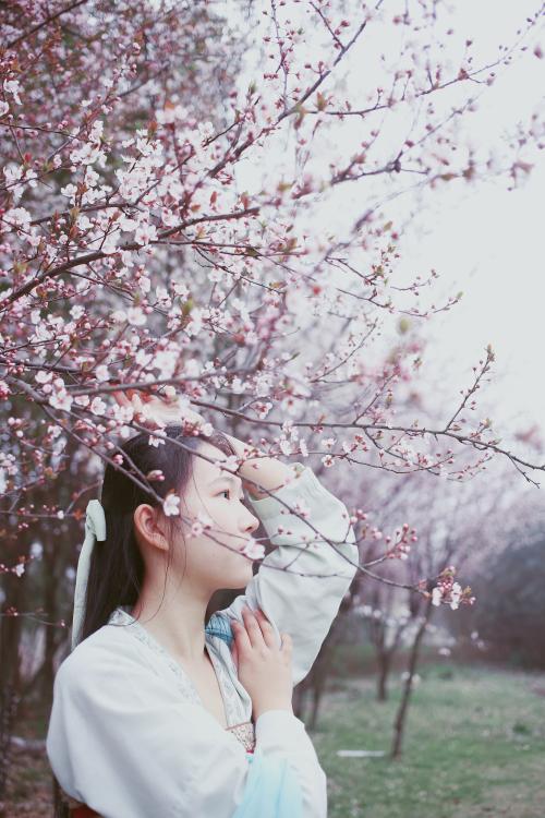 食谱，闪亮
