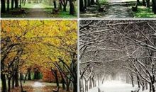 梦中，我遇见你