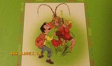 装在口袋里的爸爸读后感