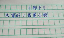 可爱的小狗作文300字