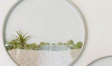 生活中的“圆”