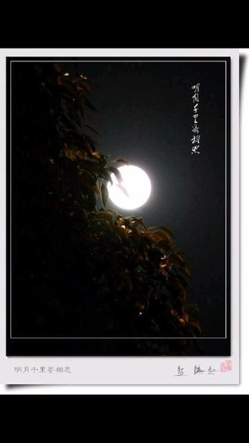 返回故乡南充_500字