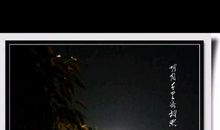 重返故乡——南充_500字