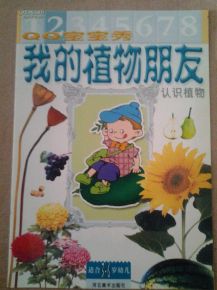 我的植物