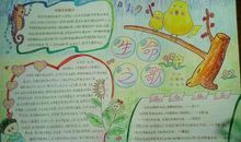 我心目中的未来中国