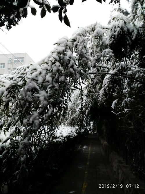 2019年的第一场大雪