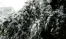 2019年的第一场大雪