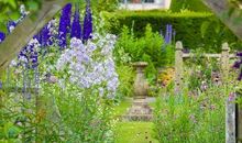 岁月永久，关爱不变