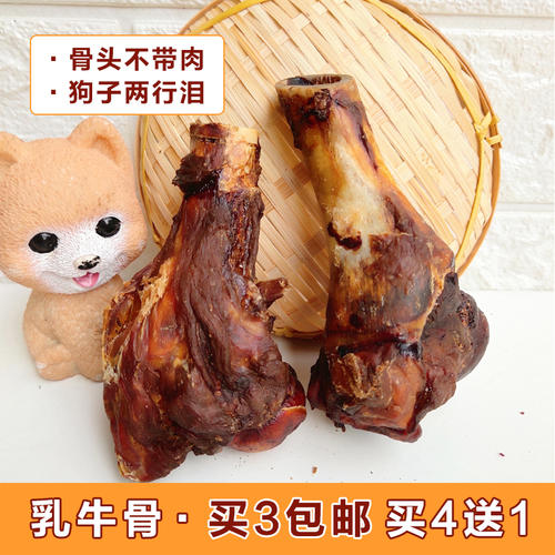 爱咬“肉骨头”