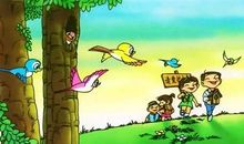 爱护小鸟看图写话二年级