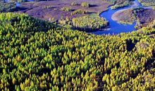 接触大自然的经历