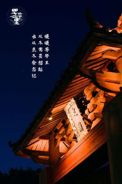 少光